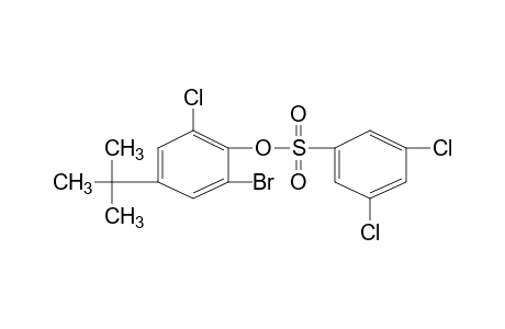 2-bromo-4-tert-butyl-6-chlorophenol, 3,5-dichlorobenzenesulfonate