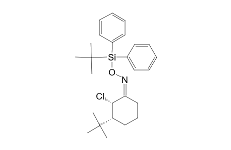 (Z)-CIS-2-CHLORO-3-(1,1-DIMETHYLETHYL)-CYCLOHEXANONE-O-(TERT.-BUTYLDIPHENYSILYL)-OXIME