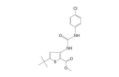 5-tert-butyl-3-[3-(p-chlorophenyl)ureido]-2-thiophenecarboxylic acid, methyl ester