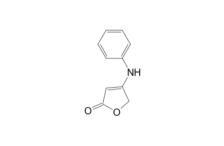 4-anilino-2(5H)-furanone