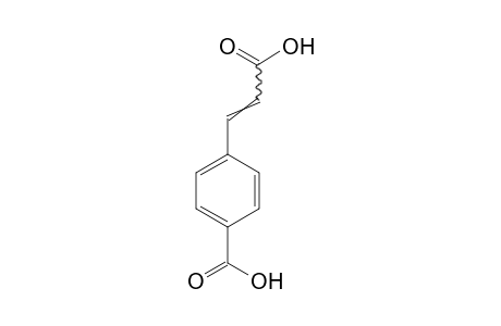 4-(2-Carboxyvinyl)benzoic acid