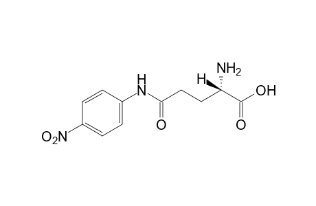 gamma-L-Glutamyl-4-nitroanilide