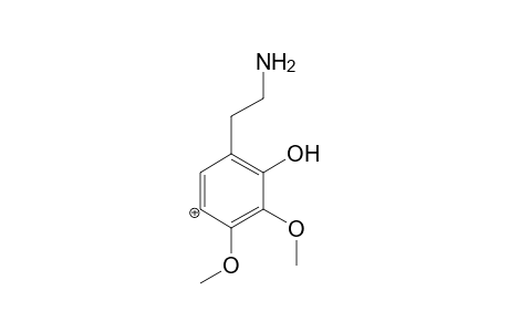 Mescaline-M (HO-) MS3_1