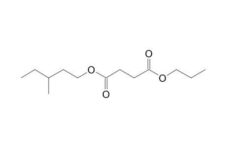 Succinic acid, 3-methylpentyl propyl ester