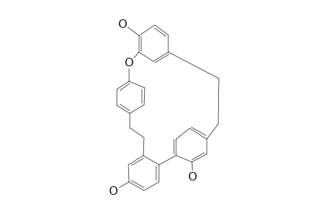 Riccardin C