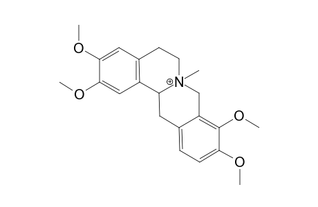 N-METHYL-TETRAHYDRO-PALMATINE