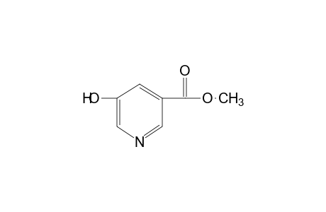 5-hydroxynicotinic acid, methyl ester