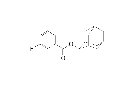 3-Fluorobenzoic acid, 2-adamantyl ester