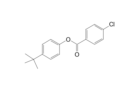 p-chlorobenzoic acid, p-tert-butylphenyl ester
