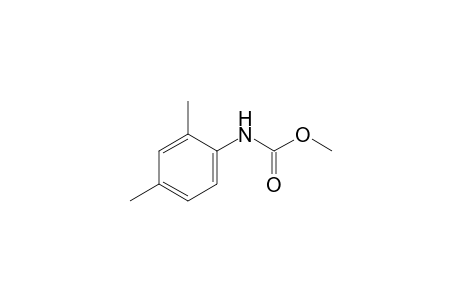 2,4-Dimethylcarbanilic acid, methyl ester