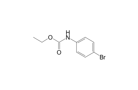 p-bromocarbanilic acid, ethyl ester