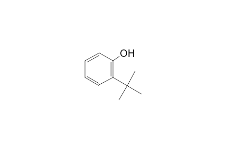 o-Tert-butylphenol