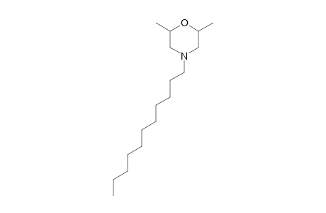 TRIDEMORPH 1