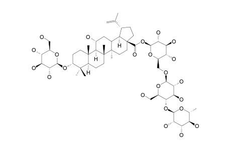 ACANKOREOSIDE-C;3-O-BETA-D-GLUCOPYRANOSYL-3-ALPHA,11-ALPHA-DIHYDROXYLUP-20(29)-EN-28-OIC-ACID-28-O-ALPHA-L-RHAMNOPYRANOSYL-(1->4)-BETA-D-GLUCOPYRAN