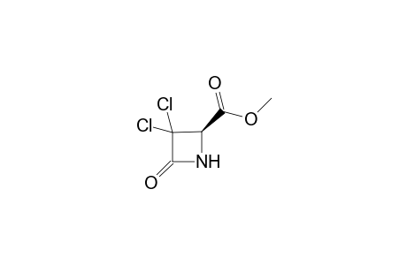 3,3-Dichloro-4-keto-azetidine-2-carboxylic acid methyl ester