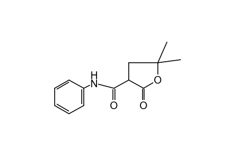 5,5-dimethyl-2-oxo-2,3,4,5-tetrahydro-3-furanilide