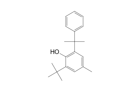 2-tert-Butyl-4-methyl-6-(1-methyl-1-phenylethyl)phenol