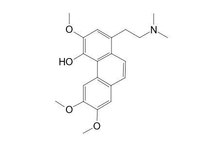 Thaliporphinemethine