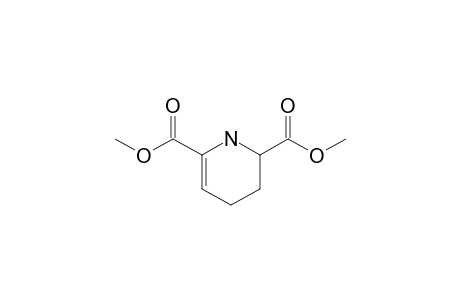 1,2,3,4-Tetrahydropyridine-2,6-dicarboxylic acid dimethyl ester