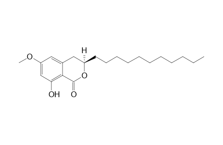 (3R)-8-HYDROXY-6-METHOXY-3-UNDECYL-3,4-DIHYDROISOCOUMARIN