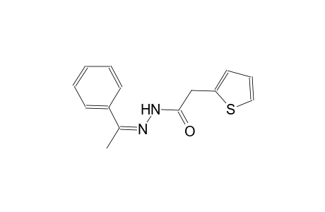 N'-[(Z)-1-phenylethylidene]-2-(2-thienyl)acetohydrazide