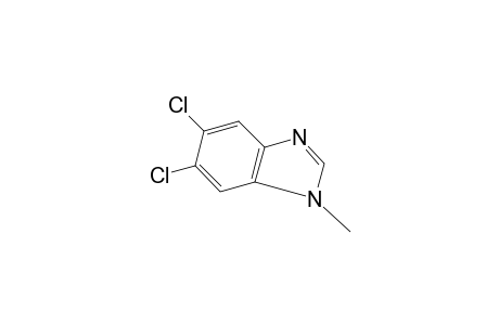 5,6-dichloro-1-methylbenzimidazole