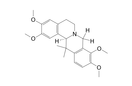 Corymotine