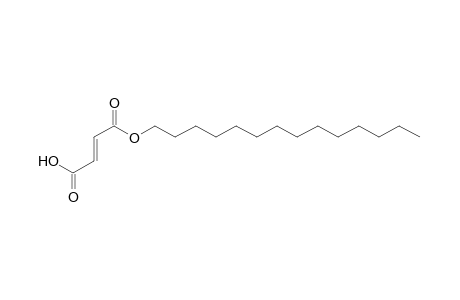 Fumaric acid, monotetradecyl ester