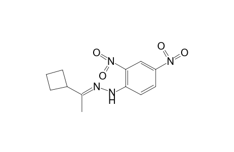 cyclobutyl methyl ketone, 2,4-dinitrophenylhydrazone