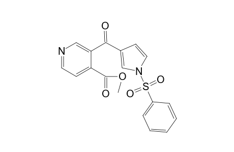 3-(1-phenylsulfonylpyrrole-3-carbonyl)isonicotinic acid methyl ester