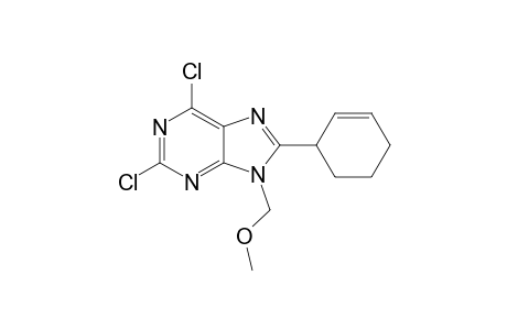 2,6-dichloro-8-(cyclohex-2-enyl)-9-(methoxymethyl)-9H-purine