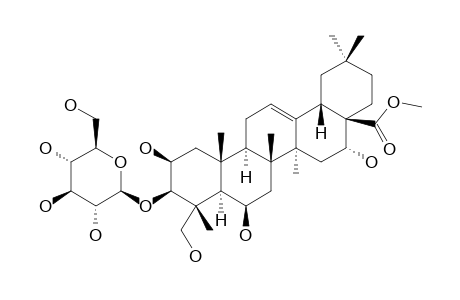 3-O-BETA-D-GLUCOPYRANOSYL-2-BETA,3-BETA,6-BETA,16-ALPHA,23-PENTA-HYDROXYOLEAN-12-EN-28-OIC_ACID_METHYLESTER