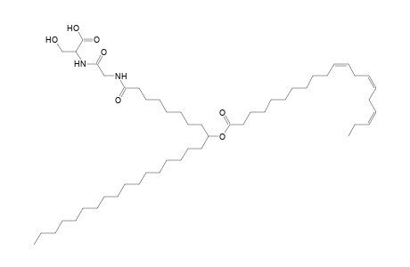 NAGlySer 20:3/26:0