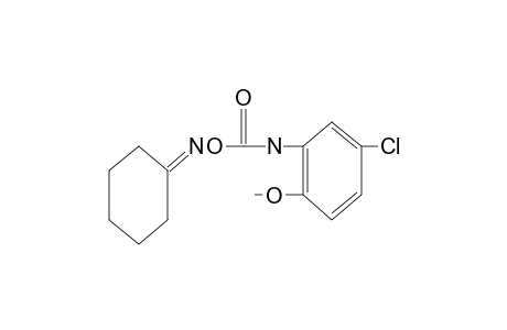 cyclohexanone, O-[(5-chloro-2-methoxyphenyl)carbamoyl]oxime