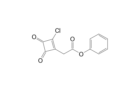 2-(2-Chloro-3,4-diketo-cyclobuten-1-yl)acetic acid phenyl ester