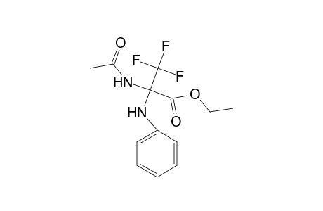 Ethyl 2-(acetylamino)-2-anilino-3,3,3-trifluoropropanoate