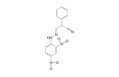 2-phenylmalonaldehydonitrile, (2,4-dinitrophenyl)hydrazone