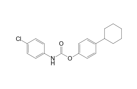 4-Cyclohexylphenyl 4-chlorophenylcarbamate