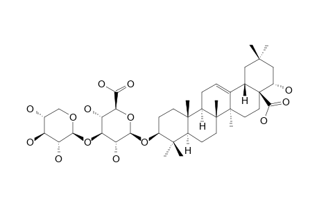 SCOPARIANOSIDE-A;22-ALPHA-HYDROXY-OLEAN-12-EN-28-OIC-ACID-3-O-BETA-D-XYLOPYRANOSYL-(1->3)-BETA-D-GLUCOPYRANOSIDURONIC-ACID