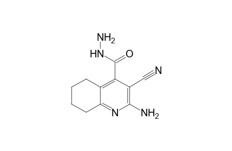 2-Amino-3-cyano-5,6,7,8-tetrahydroquinoline-4-carbohydrazide