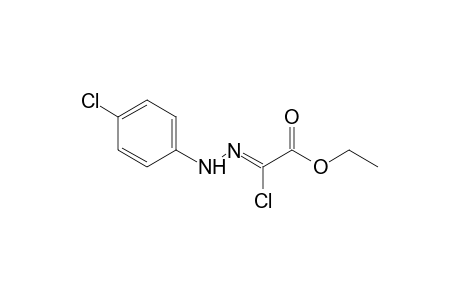 chloroglyoxylic acid, ethyl ester, p-chlorophenyhydrazone