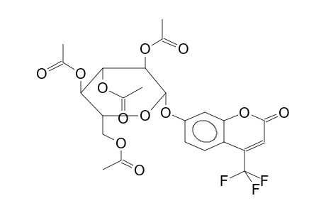 4-TRIFLUOROMETHYLUMBELLIFERYL 2,3,4,6-TETRA-O-ACETYL-BETA-D-GLUCOPYRANOSIDE