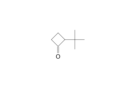 Cyclobutanone, 2-(1,1-dimethylethyl)-