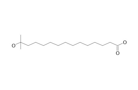 14-Hydroxy-14-methylpentadecanoic acid