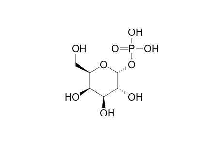 alpha-D-Galactose 1-phosphate