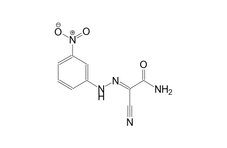 ethanamide, 2-cyano-2-[(3-nitrophenyl)hydrazono]-, (2E)-