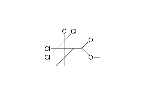 Methyl 4,4,5,5-tetrachloro-2,2-dimethyl-spiropentane-1-carboxylate