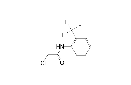 2-CHLORO-alpha,alpha,alpha-TRIFLUORO-o-ACETOTOLUIDIDE