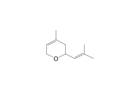 3,6-DIHYDRO-4-METHYL-2-(2-METHYLPROPENYL)-2H-PYRAN