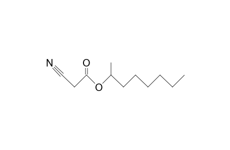 Cyano-acetic acid, 1-methylheptyl ester